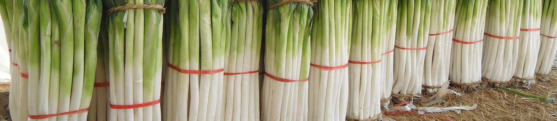 山东济南软件公司